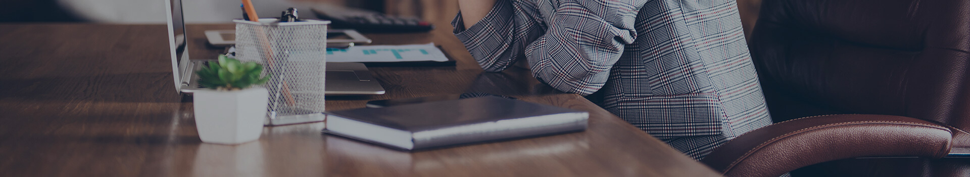 Litigation / Dispute Resolution